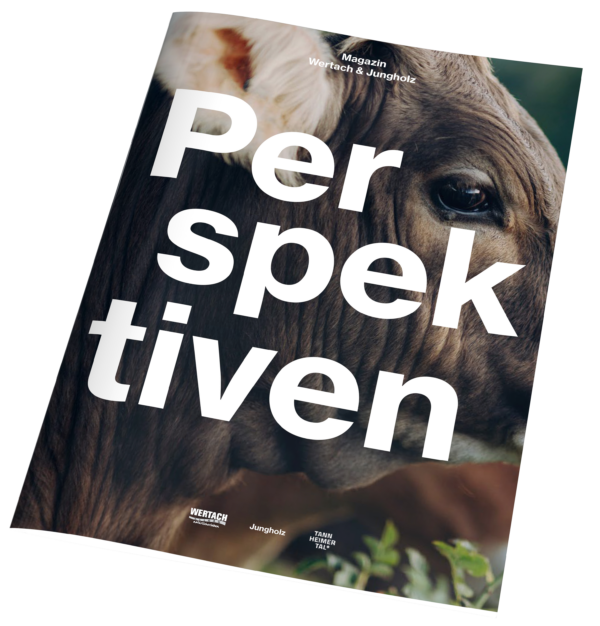 Perspektiven – Wertach & Jungholz