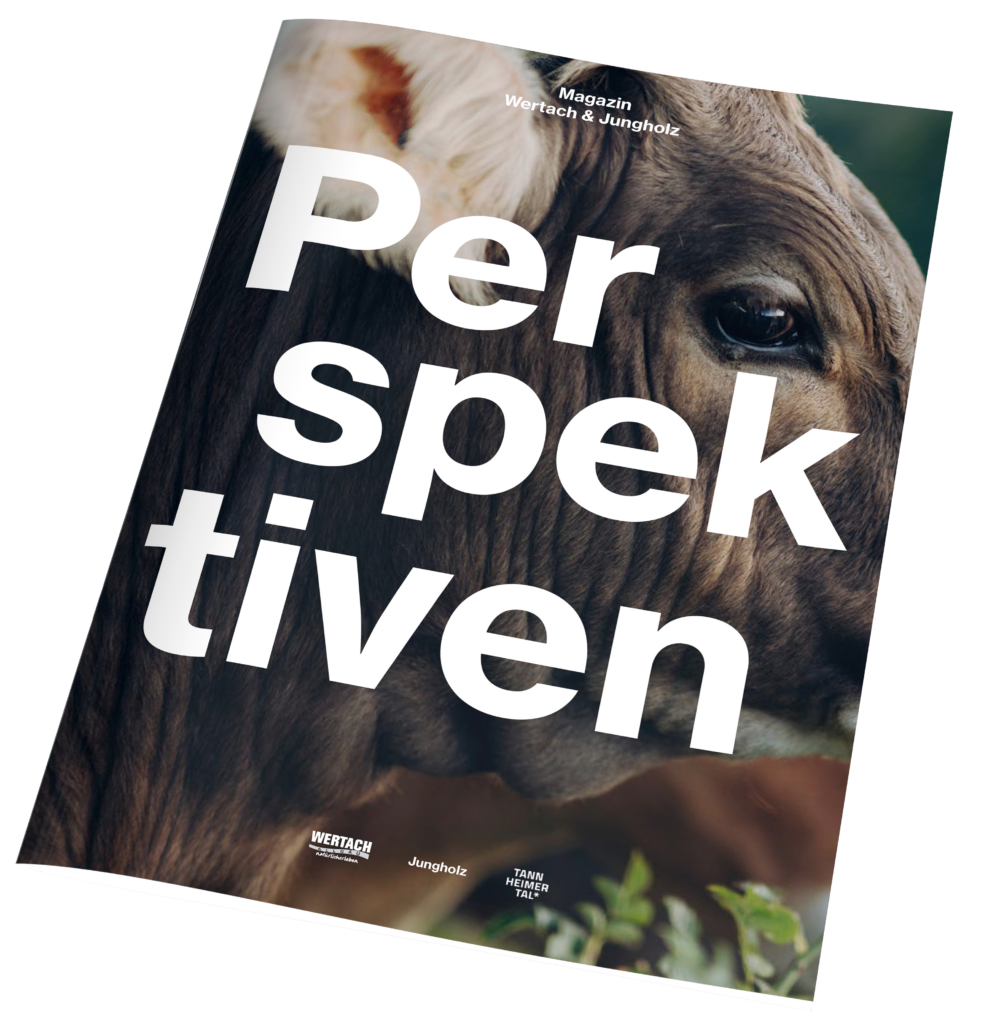 Perspektiven – Wertach & Jungholz